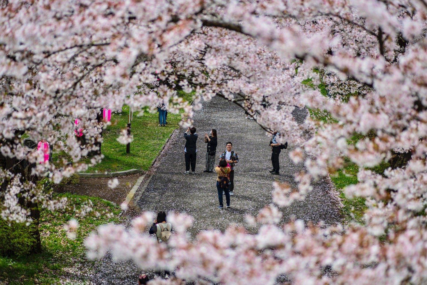 🌸 기타카미 시립공원 텐쇼치